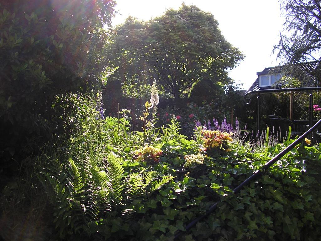 Walnut Lodge Bed & Breakfast Noorbeek Esterno foto